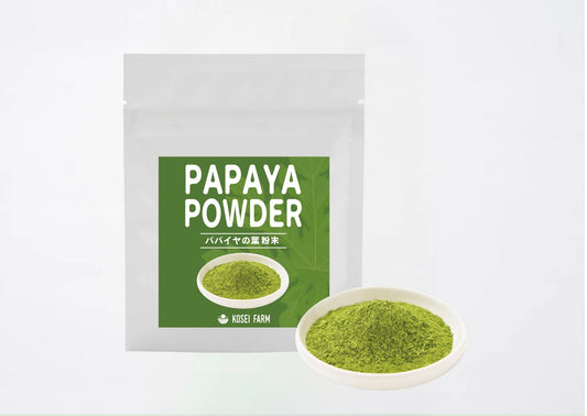 パパイヤパウダー PAPAYA POWDER